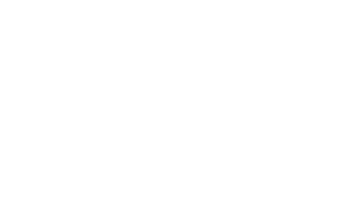 steorra logo